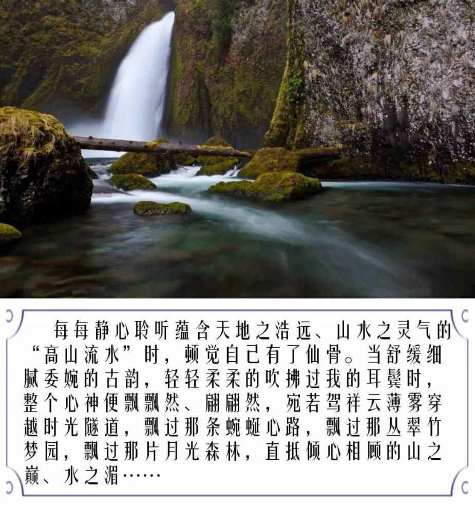 萌宠爱享受：鱼唇的人类，还不快快过来服侍主子？
